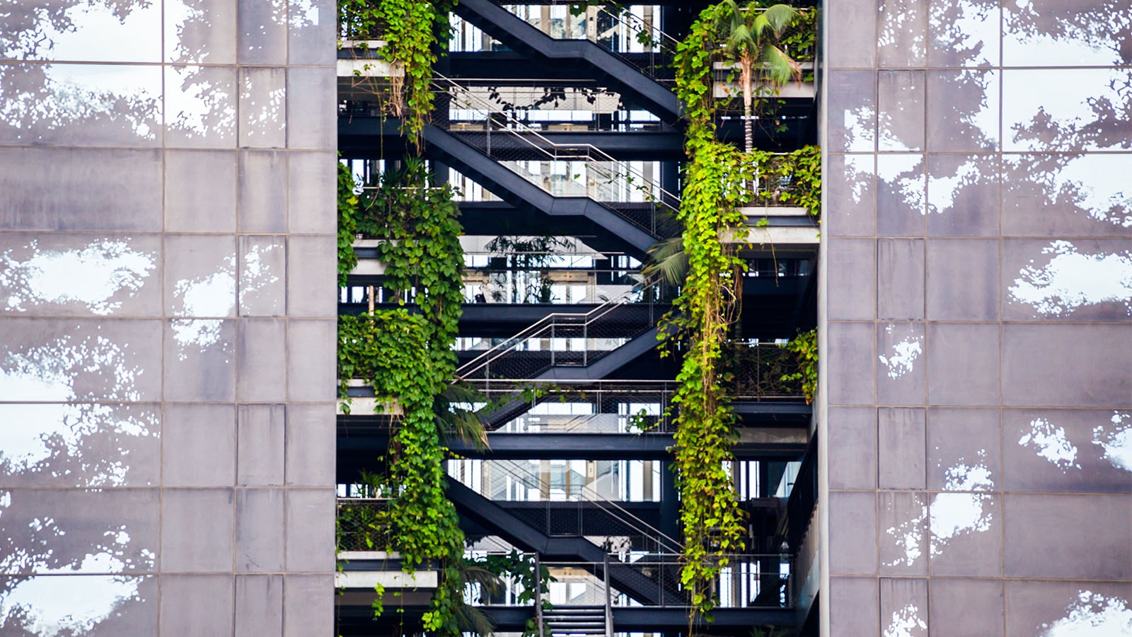 Sustainable office building with plants.