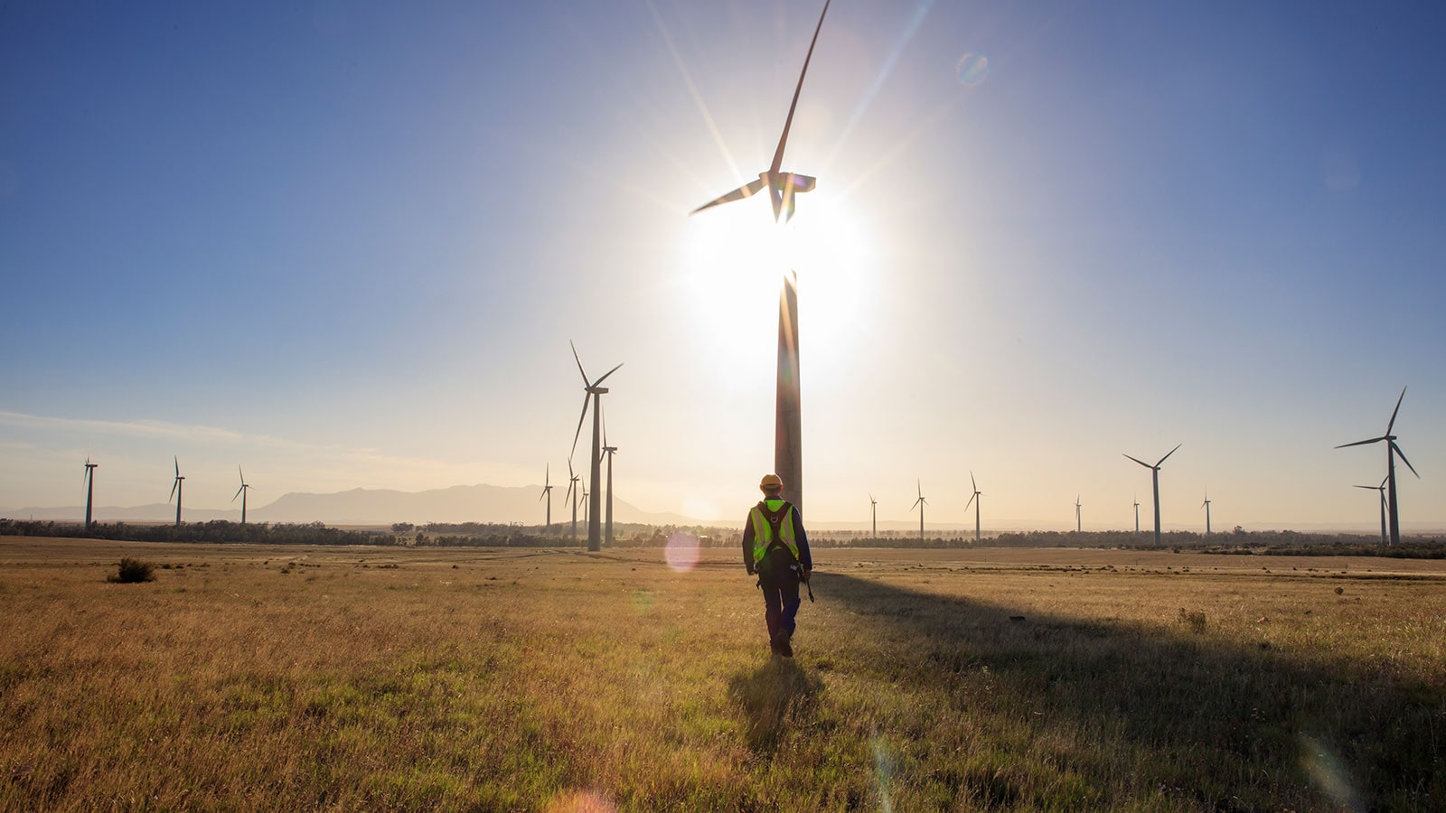 Image of wind tubines.