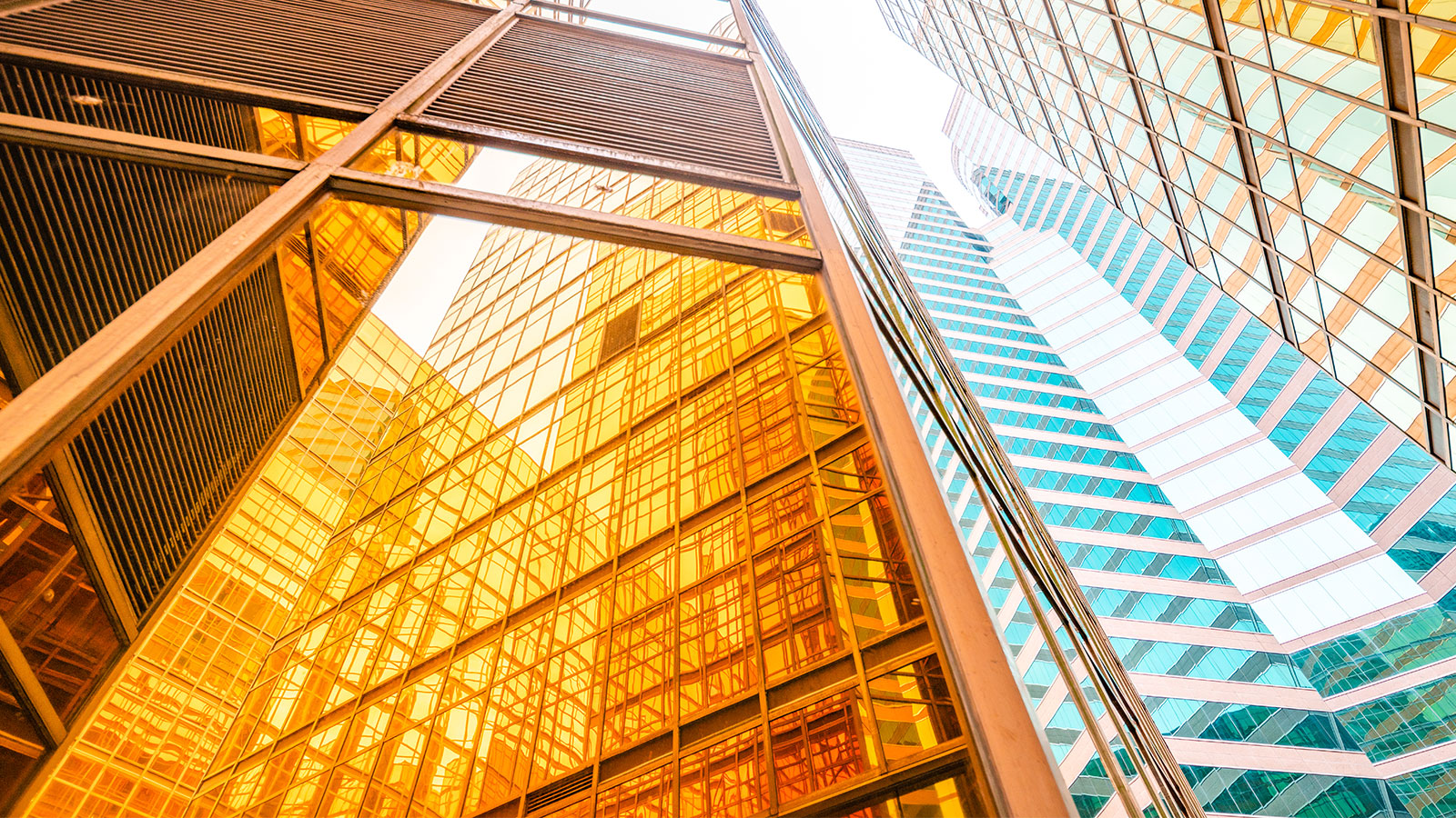 Glass sky-scraper buildings.