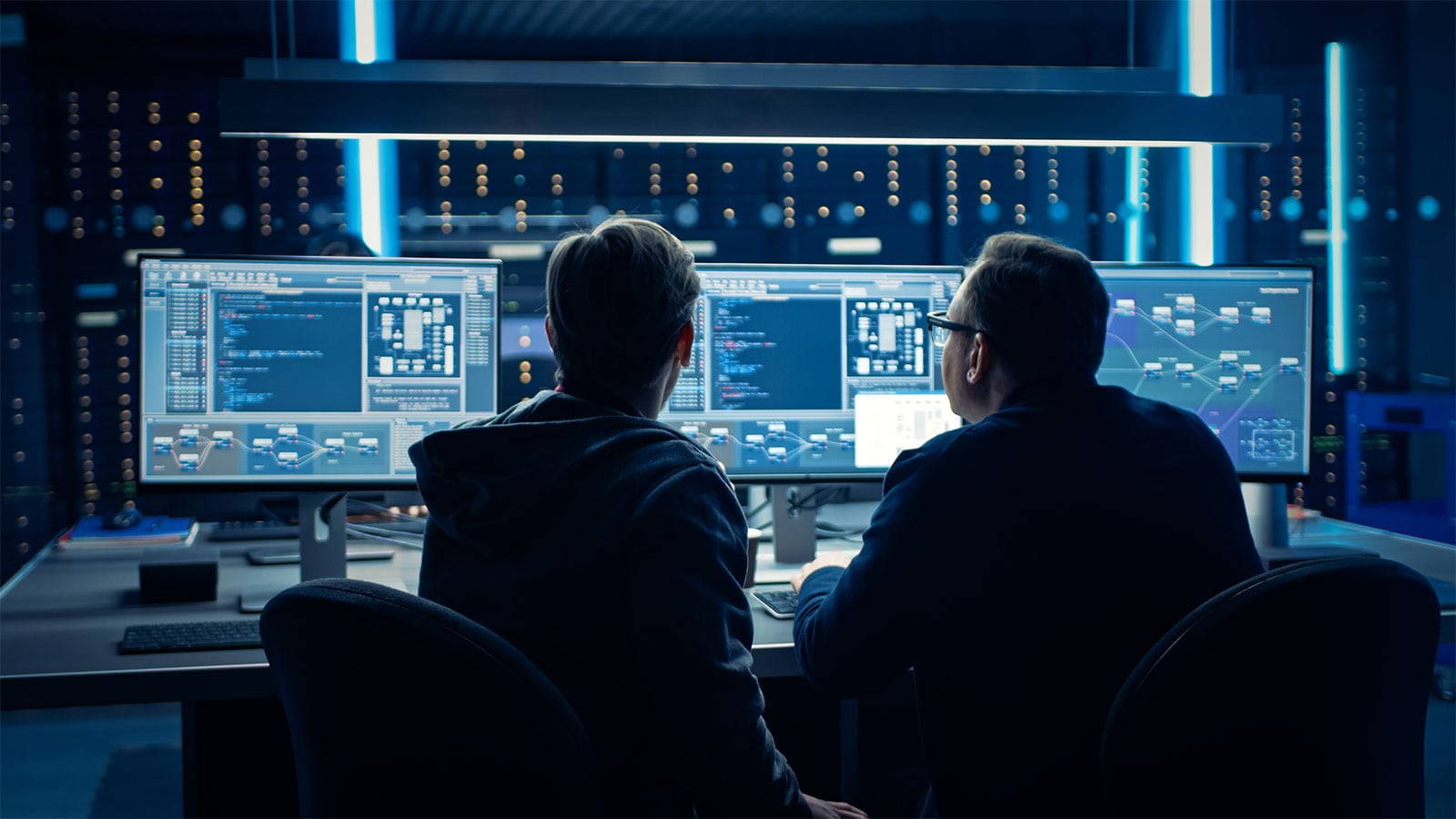 Two men analysising data protection sofware.