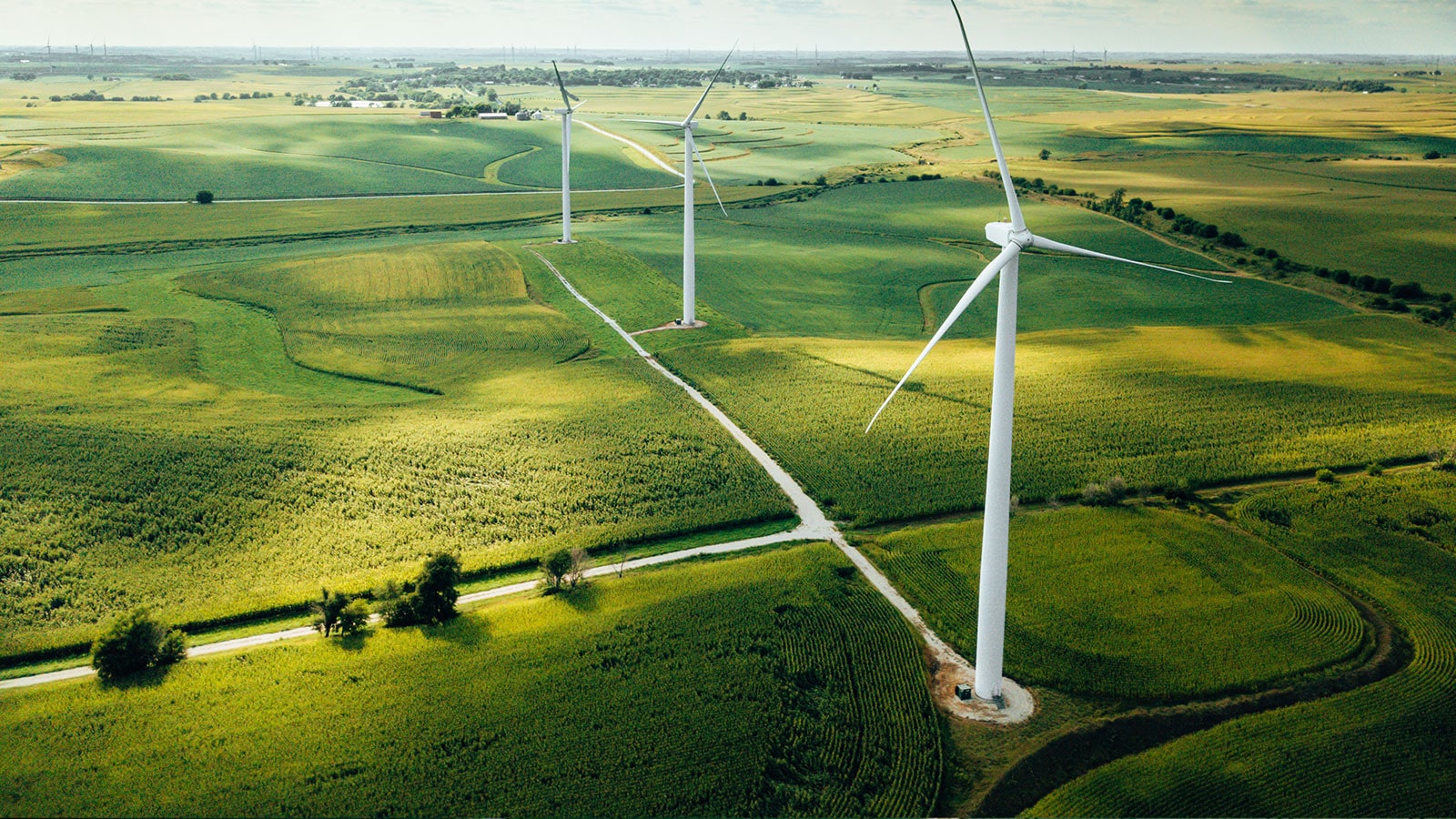 Wind turbines in a field.