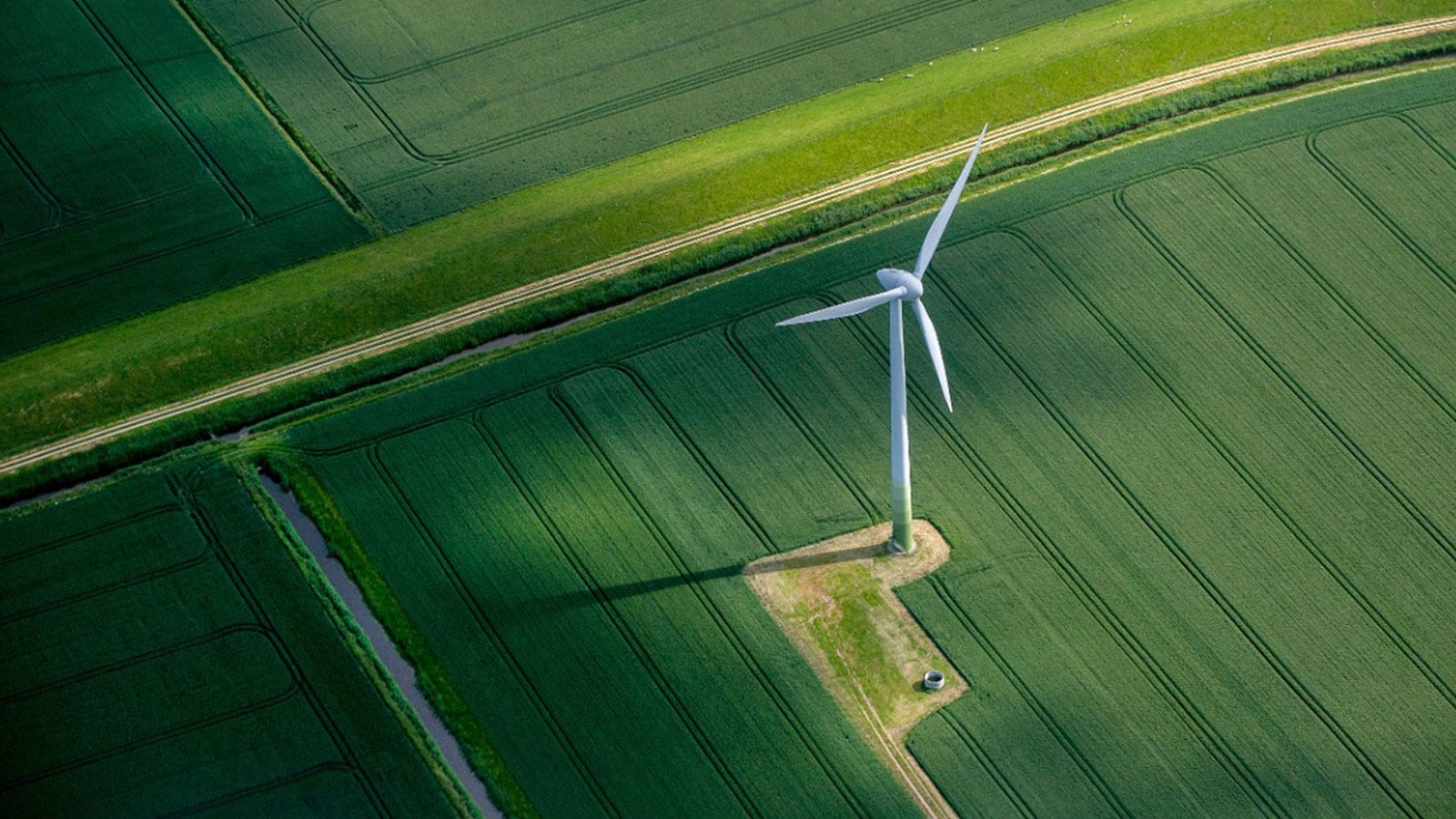 Wind turbine in a field.