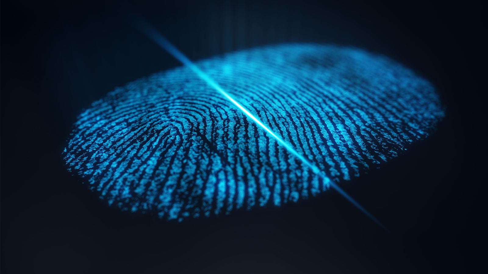 Fingerprint