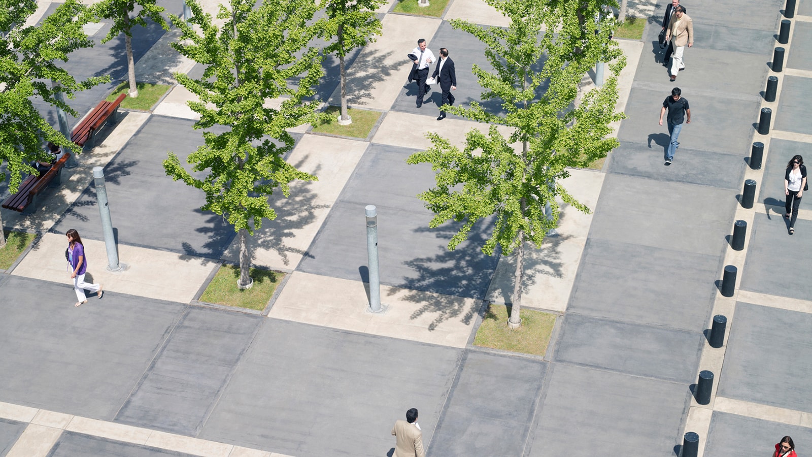 overview of side walk with trees and people walking