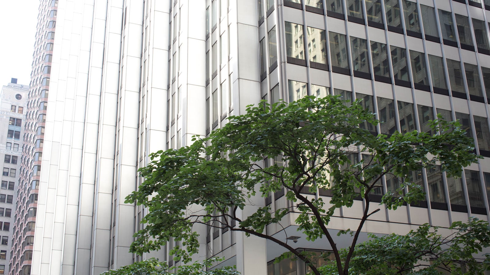 An image of a tall building.