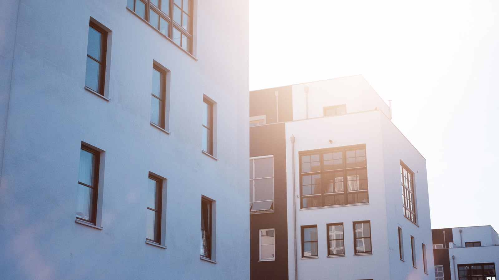 building with windows and the sun