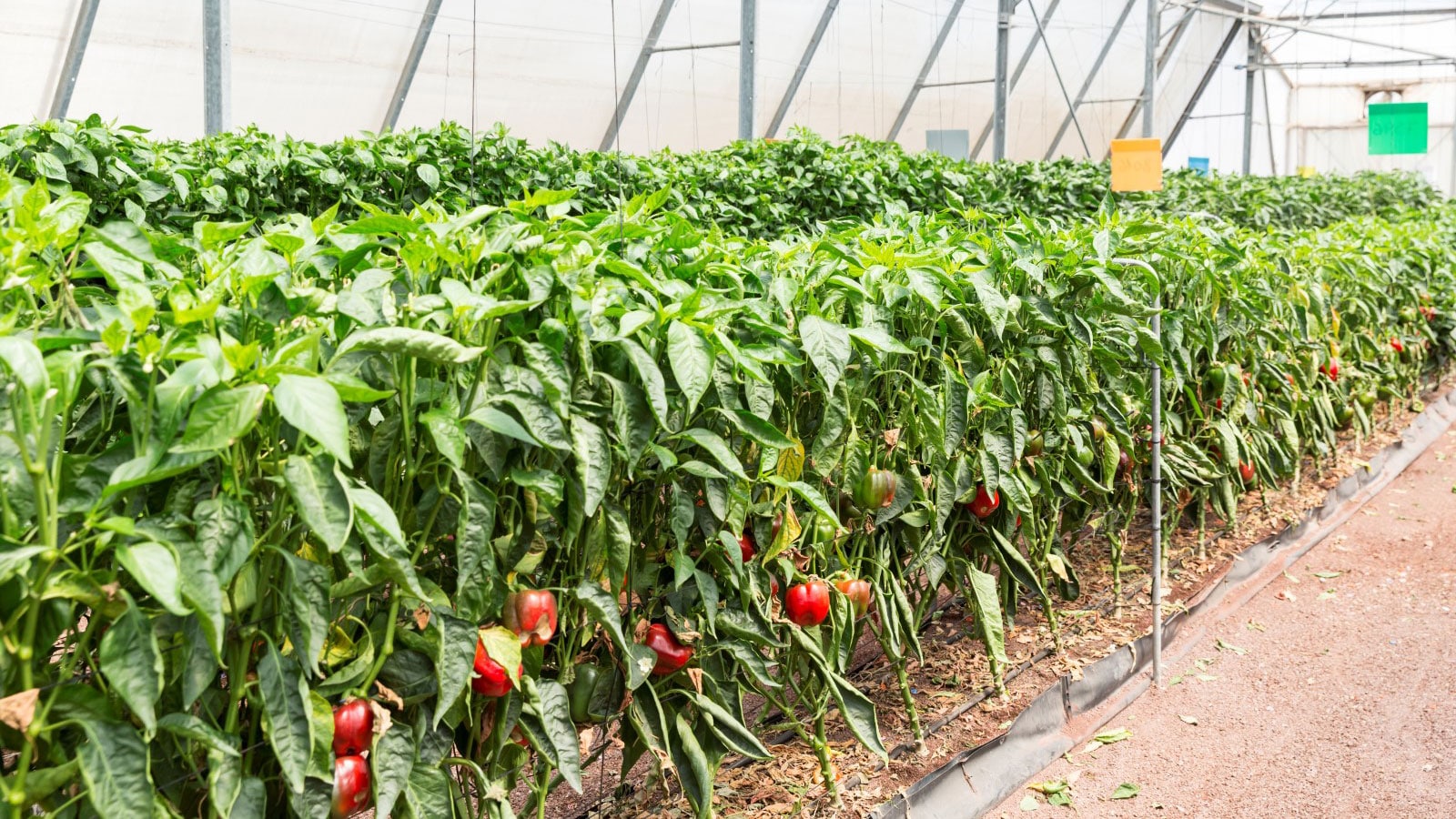 agriculture-industry