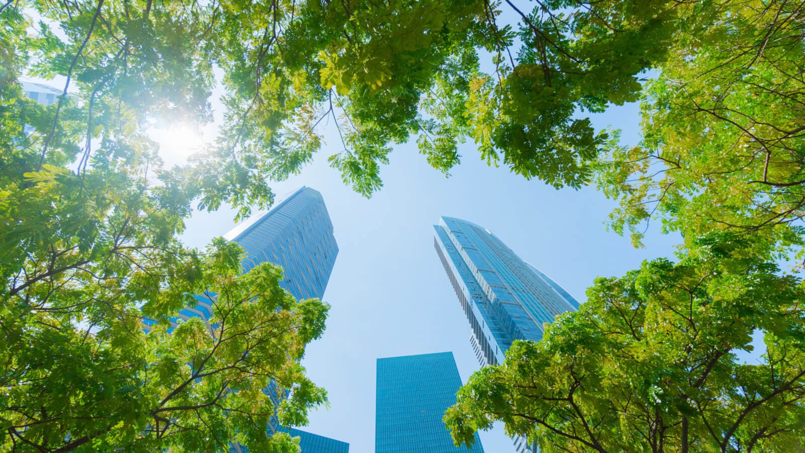 View of buildings and trees.