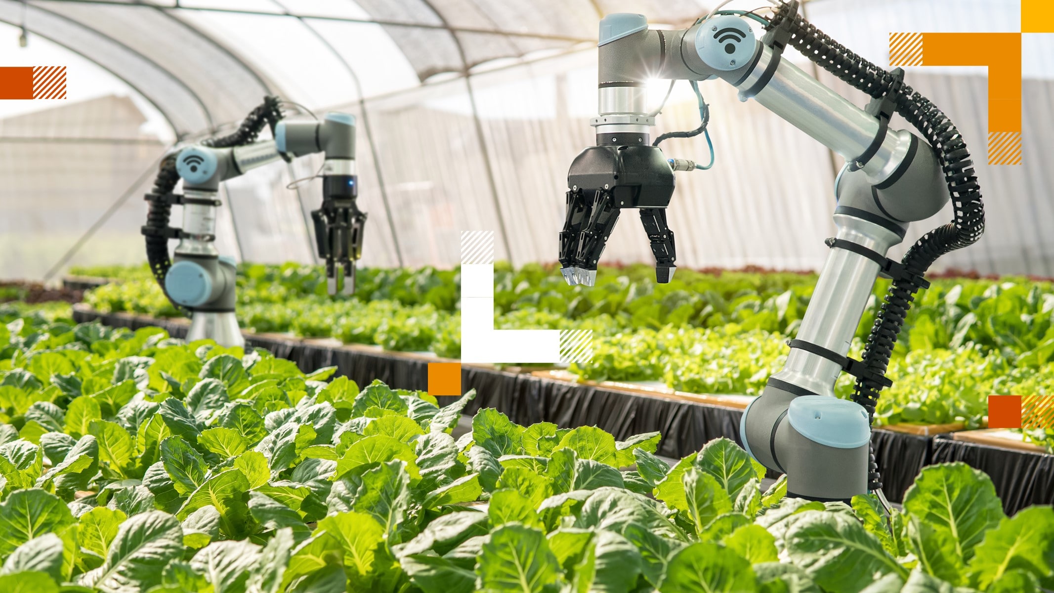 Machines working on plants.