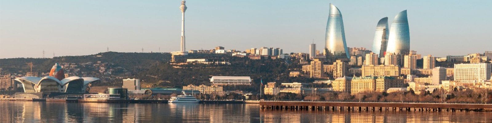 COP29 banner